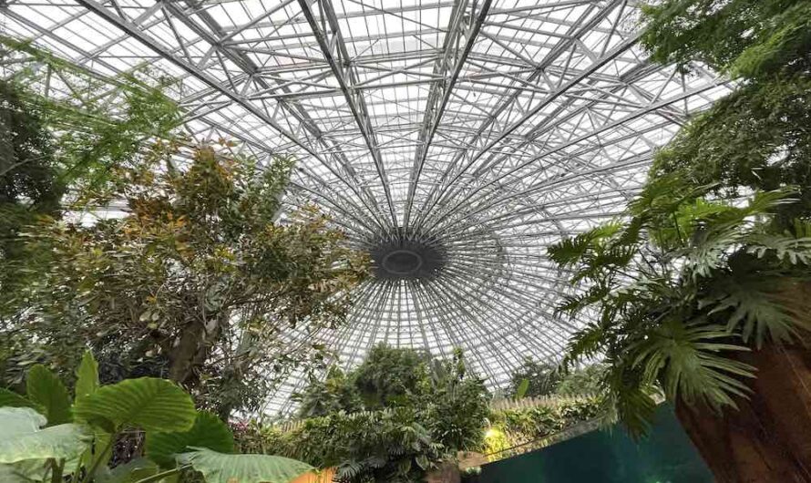 Envie de vous reconnecter à la nature ? Pensez à un séjour insolite dans un zoo étonnant, aux hébergements variés